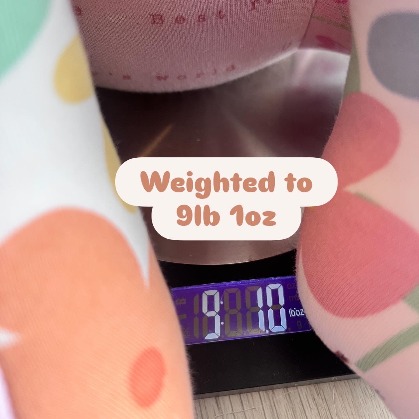 Birth-Weighted Keepsake Animals (6 Options)