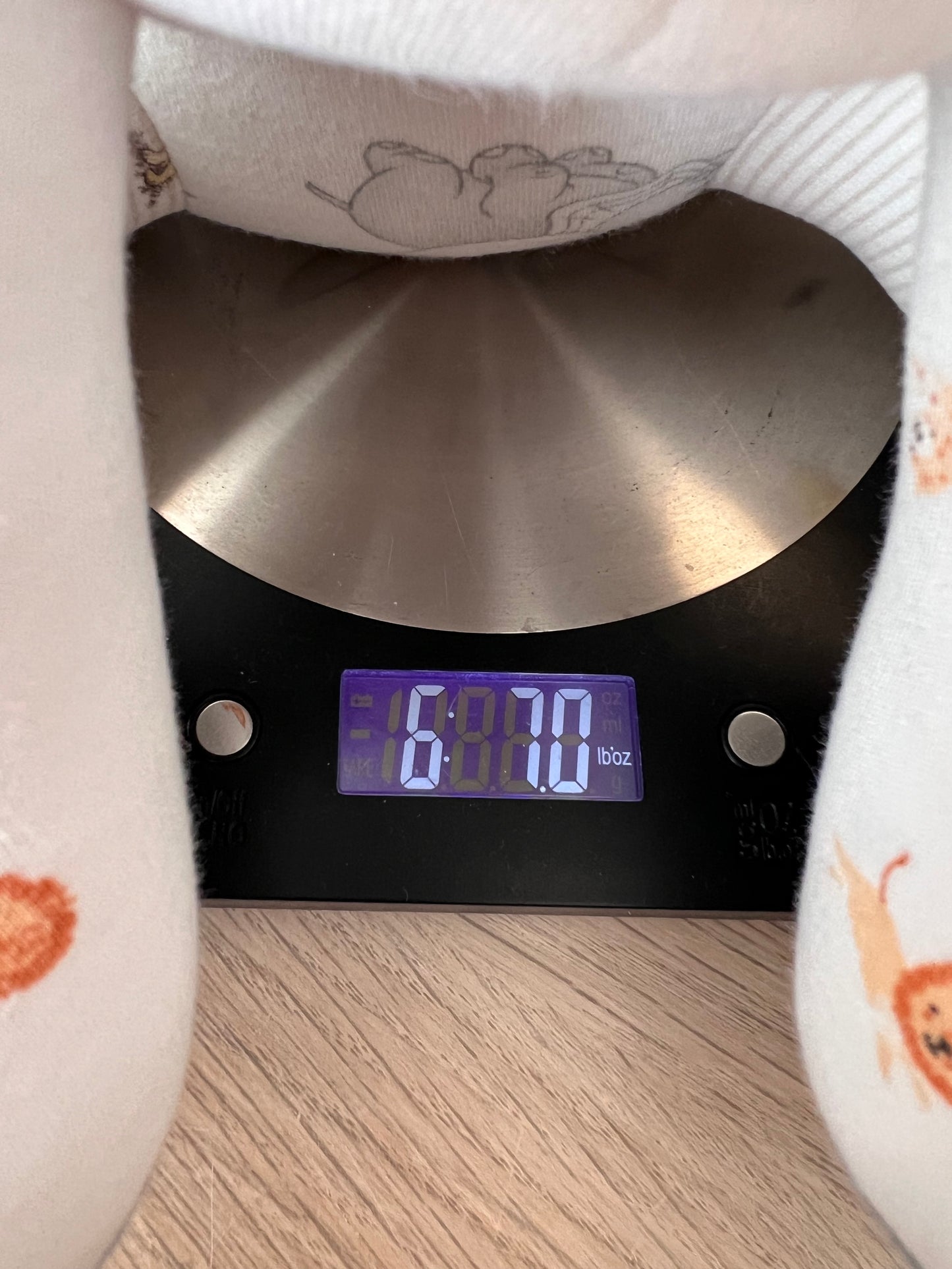 Birth-Weighted Keepsake Animals (6 Options)