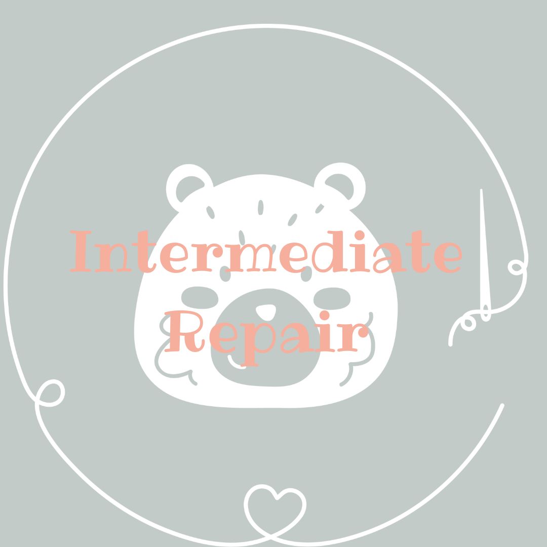 TEDDY - INTERMEDIATE- REPAIR - PACKAGE