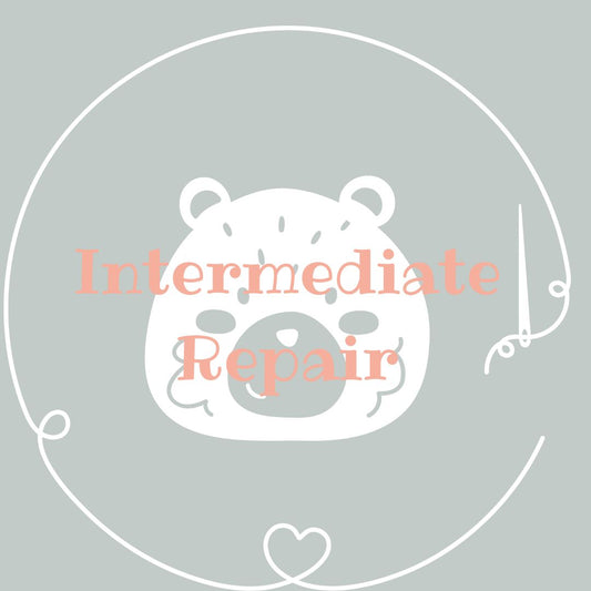 TEDDY - INTERMEDIATE- REPAIR - PACKAGE