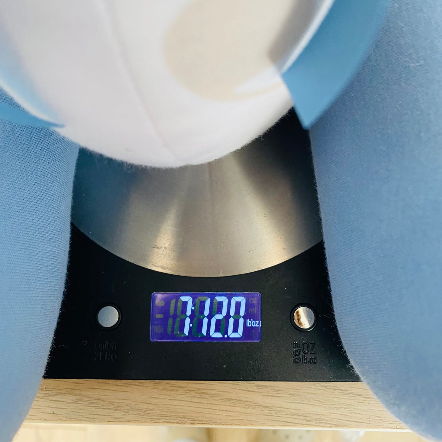 Birth-Weighted Bear (2 variations)