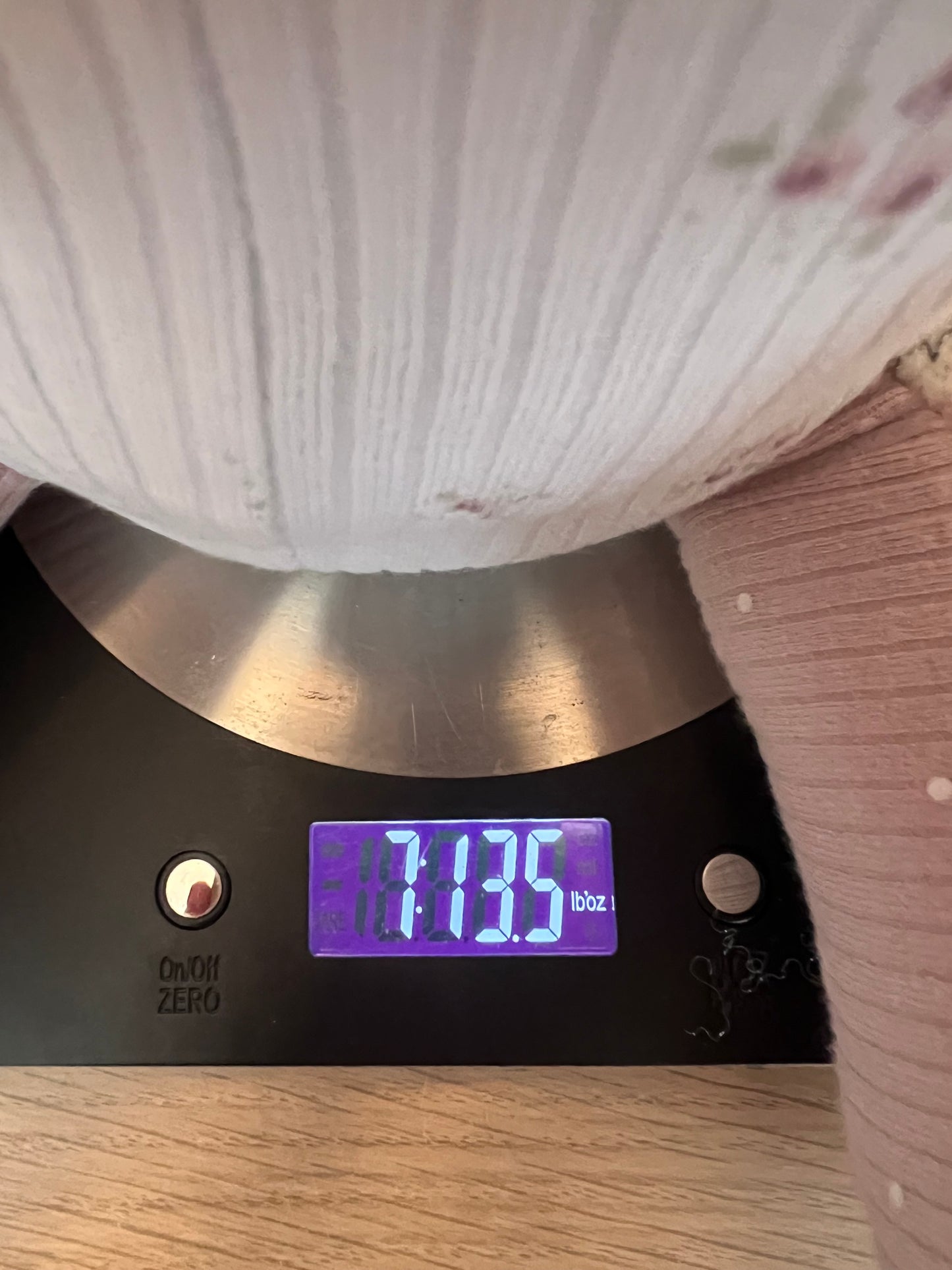 Birth-Weighted Keepsake Animals (6 Options)