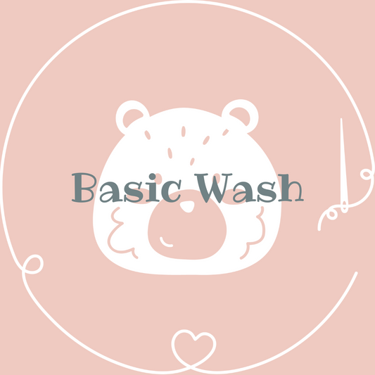 TEDDY - BASIC WASH