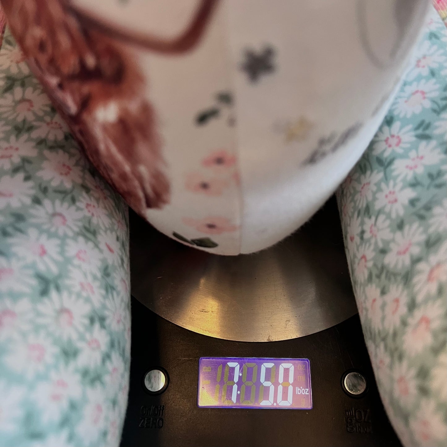 Birth-Weighted Bear (2 variations)