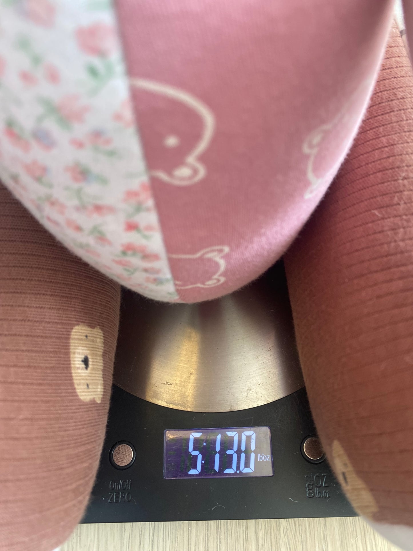 Birth-Weighted Bear (2 variations)